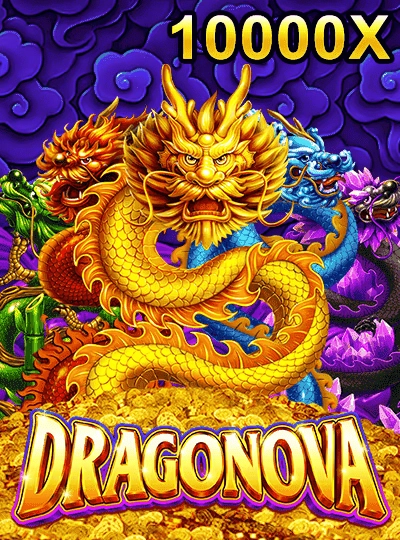 quy88 quy88